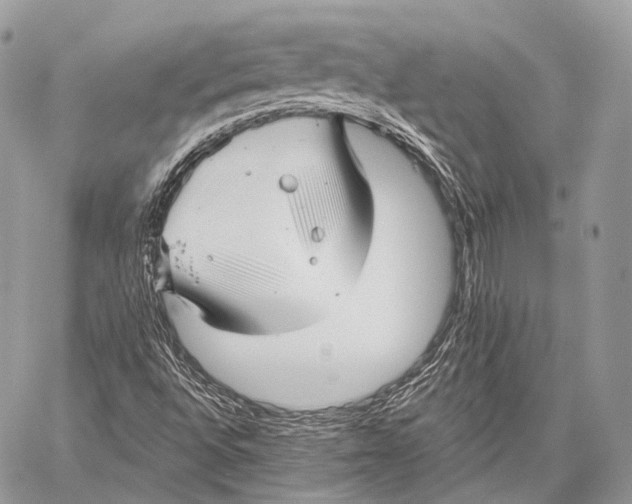 X0000059041496200510281529