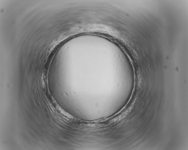 X0000059041497200510281529