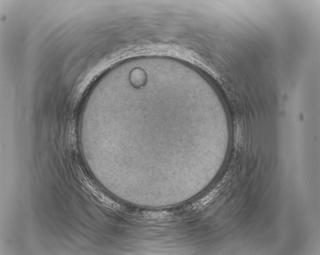 X0000059041498200510281529