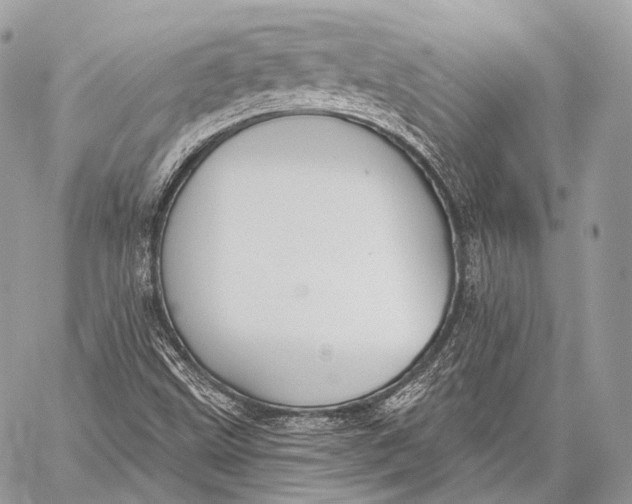 X0000059041499200510281529