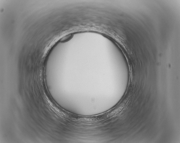 X0000059041500200510281529