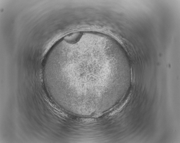 X0000059041501200510281529