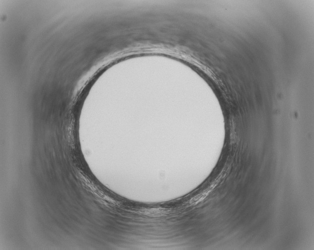 X0000059041502200510281529