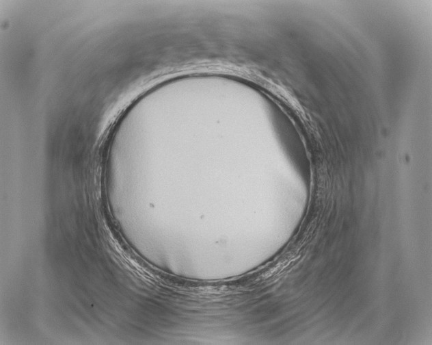 X0000059041504200510281529