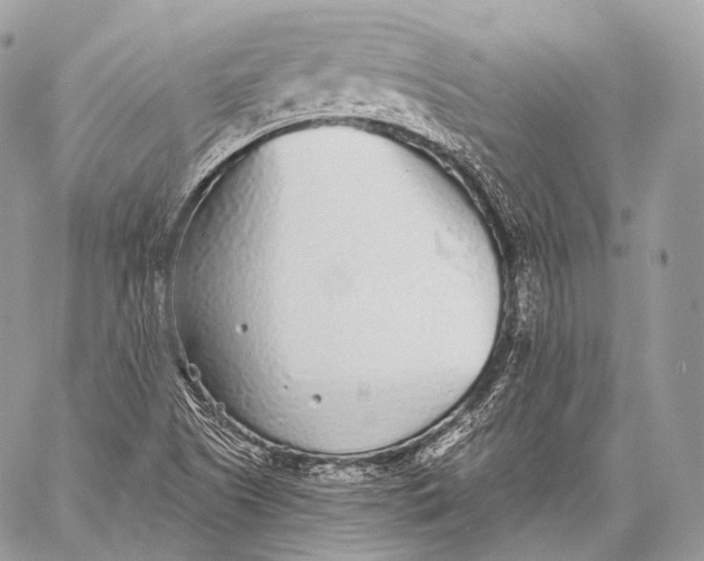 X0000059041505200510281529