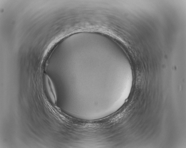 X0000059041506200510281529