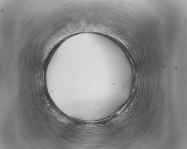 X0000059041507200510281529