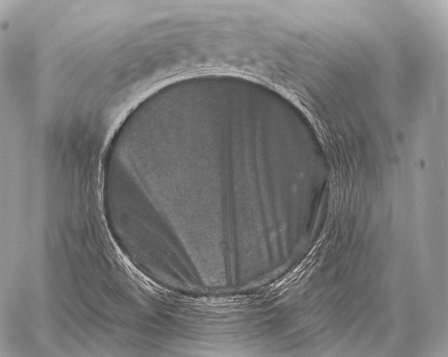 X0000059041508200510281529