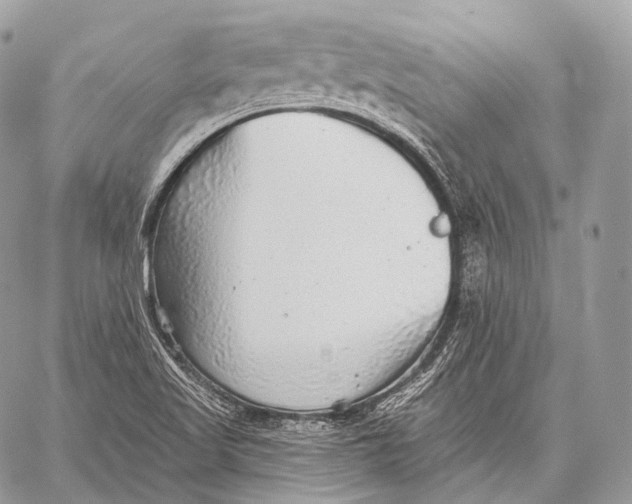 X0000059041509200510281529