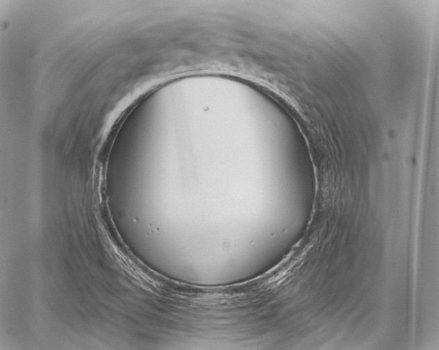 X0000059041510200510281529