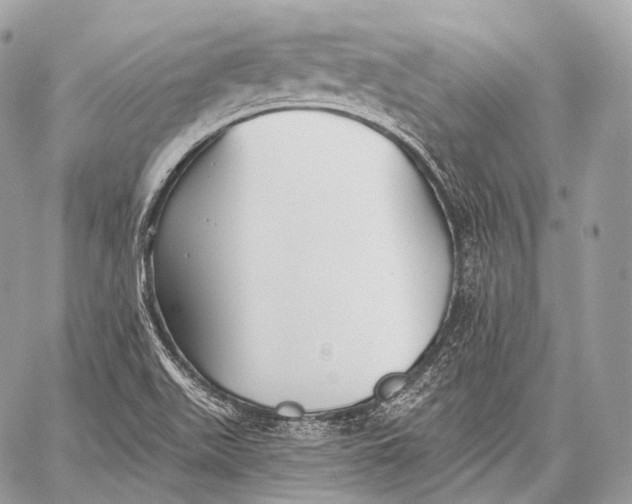 X0000059041511200510281529