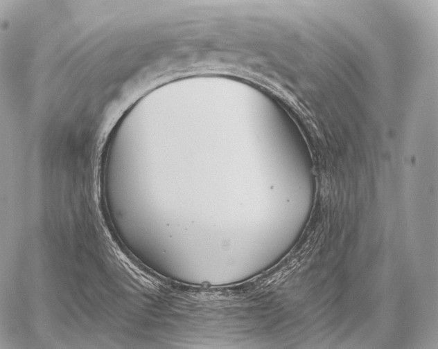 X0000059041512200510281529