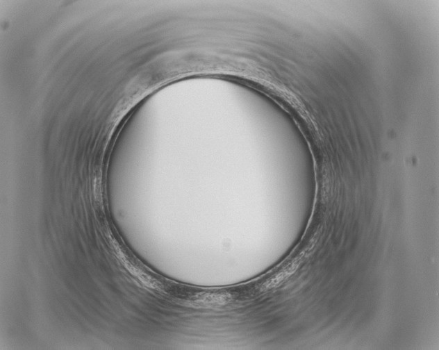 X0000059041513200510281529