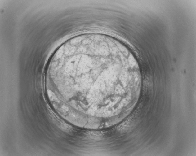 X0000059041514200510281529