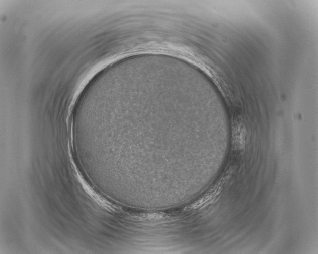 X0000059041515200510281529