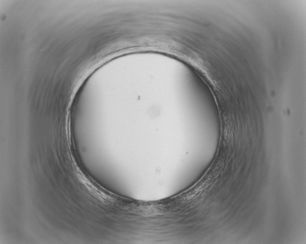 X0000059041516200510281529