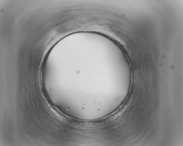 X0000059041517200510281529