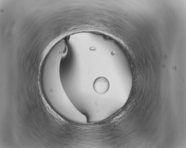 X0000059041518200510281529