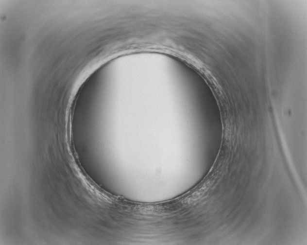 X0000059041520200510281529