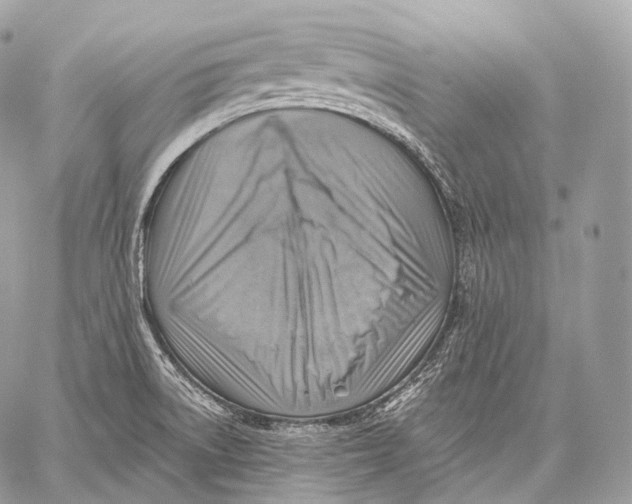 X0000059041522200510281529