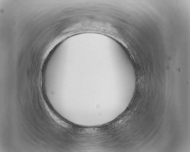 X0000059041523200510281529