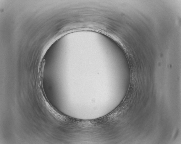 X0000059041524200510281529