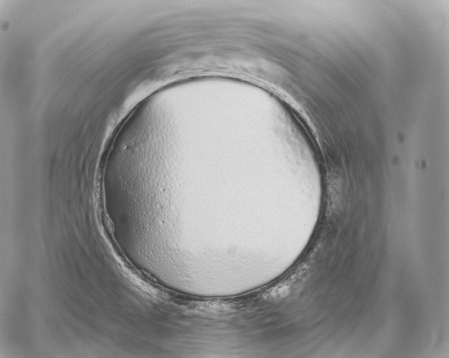 X0000059041525200510281529