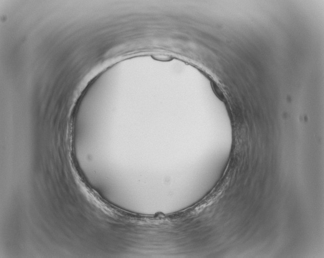 X0000059041526200510281529