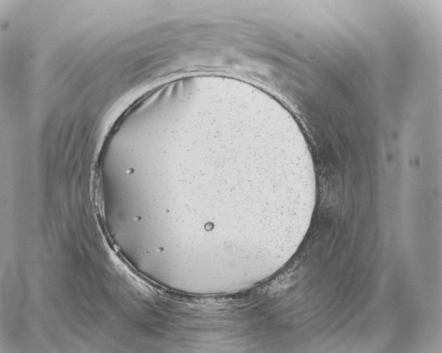 X0000059041527200510281529