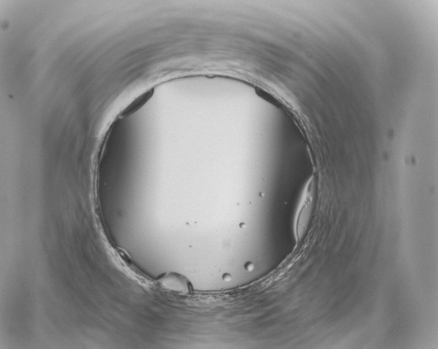 X0000059041528200510281529