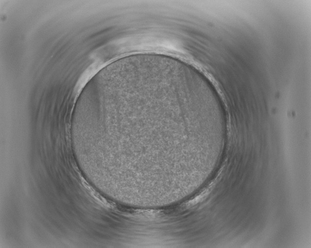 X0000059041529200510281529