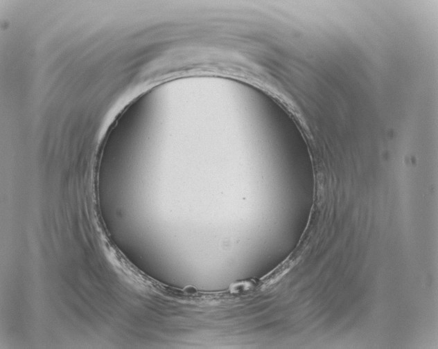 X0000059041530200510281529