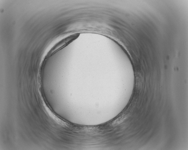 X0000059041531200510281529