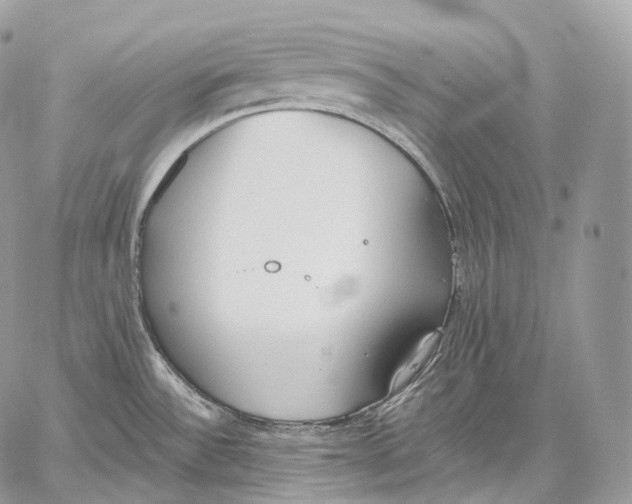 X0000059041532200510281529