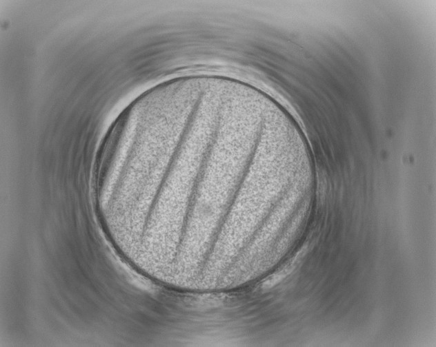 X0000059041533200510281529