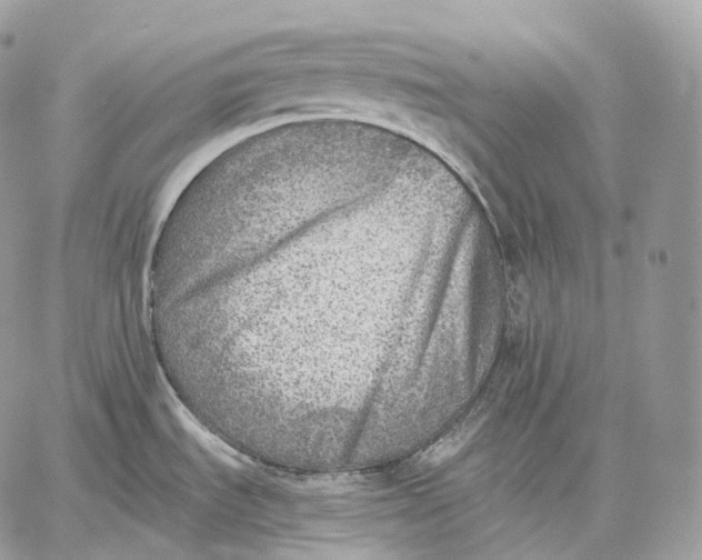 X0000059041535200510281529