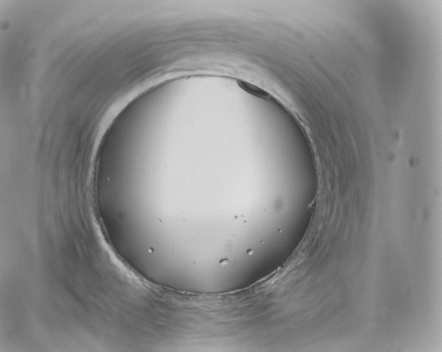 X0000059041536200510281529