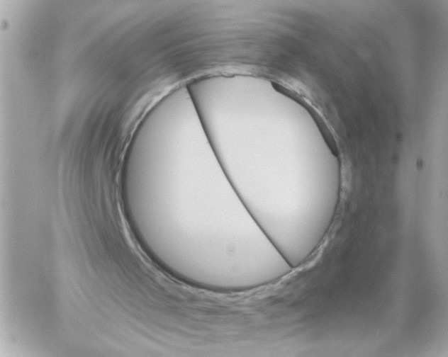 X0000059040001200511041649