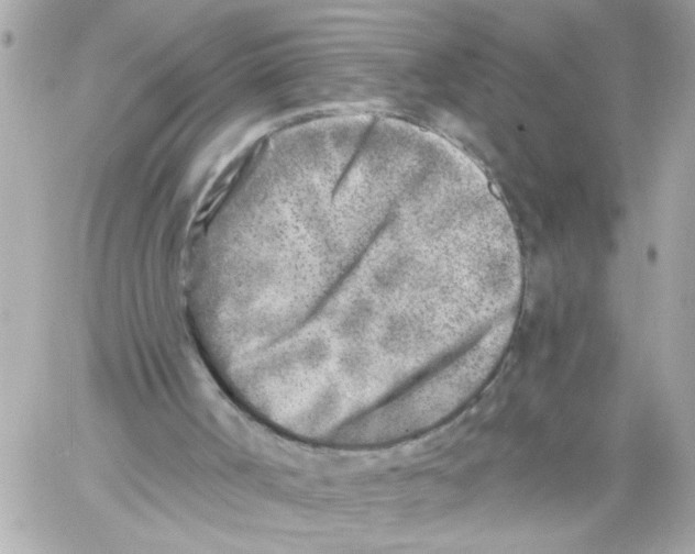 X0000059040002200511041648