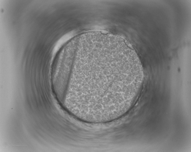 X0000059040006200511041648