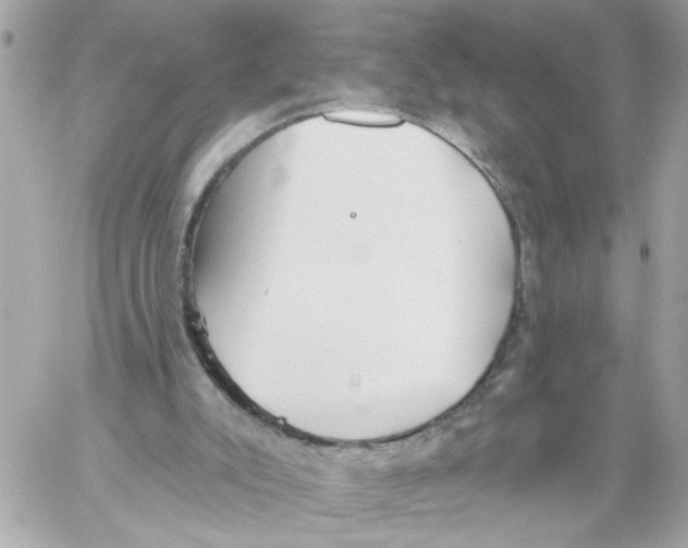 X0000059040007200511041648