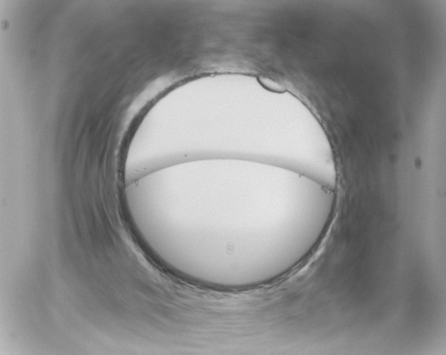 X0000059040008200511041648