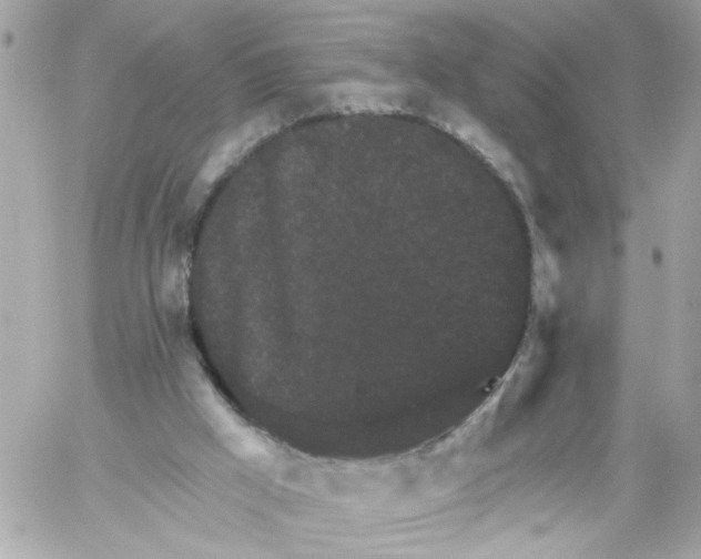 X0000059040009200511041648