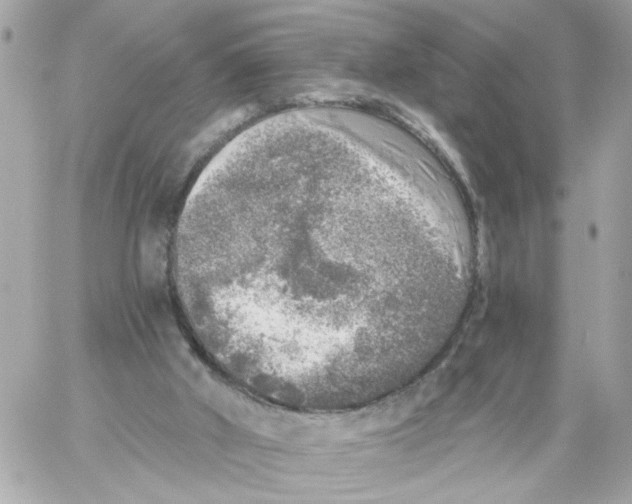 X0000059040010200511041648