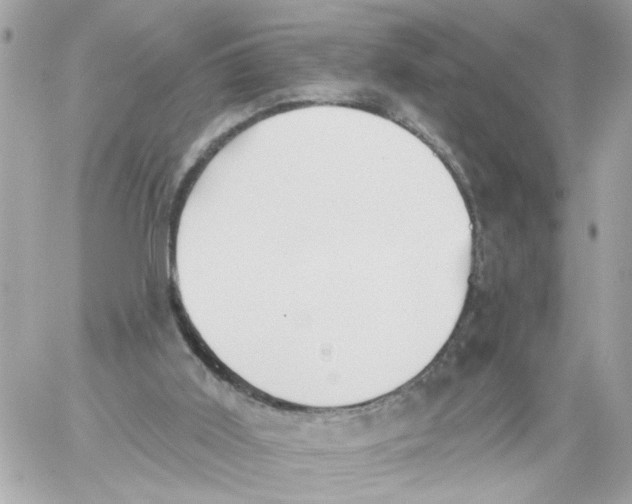 X0000059040011200511041648