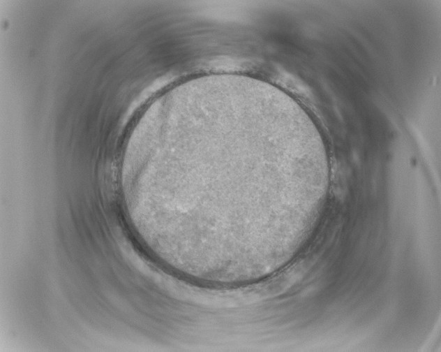 X0000059040012200511041648