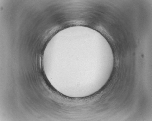 X0000059040014200511041648