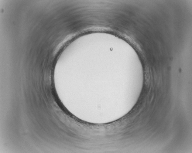 X0000059040015200511041648