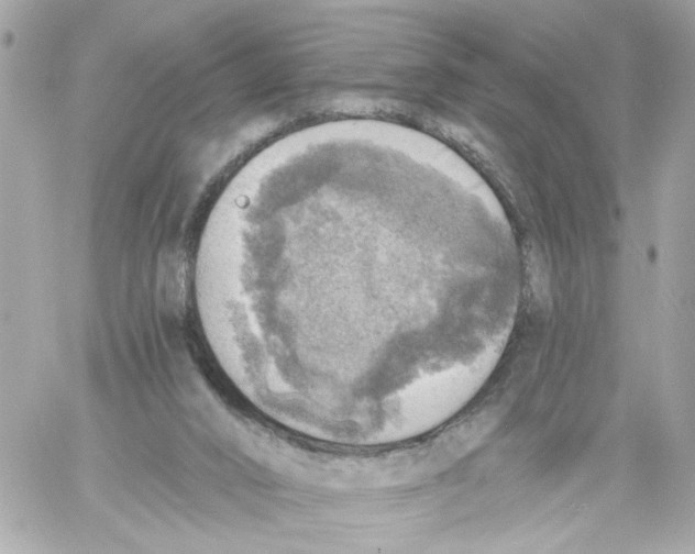 X0000059040016200511041648