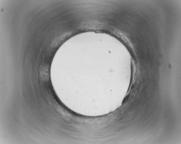 X0000059040017200511041648